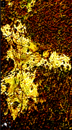 Screenshot 2025-08-07 at 12.37.39 AM