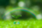 AdobeStock_104263120.jpeg