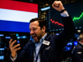Nederlandse analist