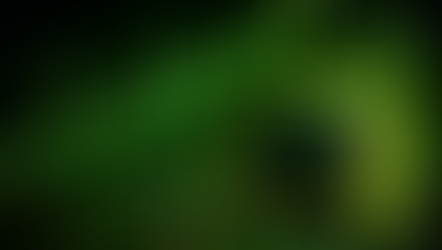 Dit aandeel steeg 300% in 1 jaar, expert voorspelt tweede rally