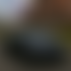 Tesla rijdt FSD in Nederland