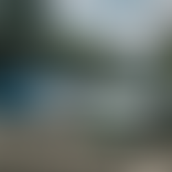 Welk aandeel wint de strijd in de robotaxi-race?