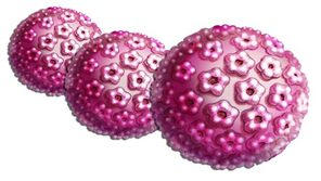 Virus de papiloma humano