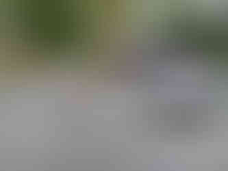 birdwatching tour from Khao Lak to Sri Phang Nga National Park