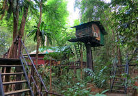 Handpicked treehouse accommodation surrounded by rainforest in Khao Sok National Park