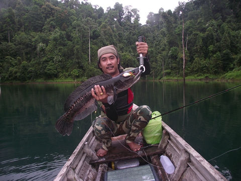 FISHING ON KHAO SOK LAKE