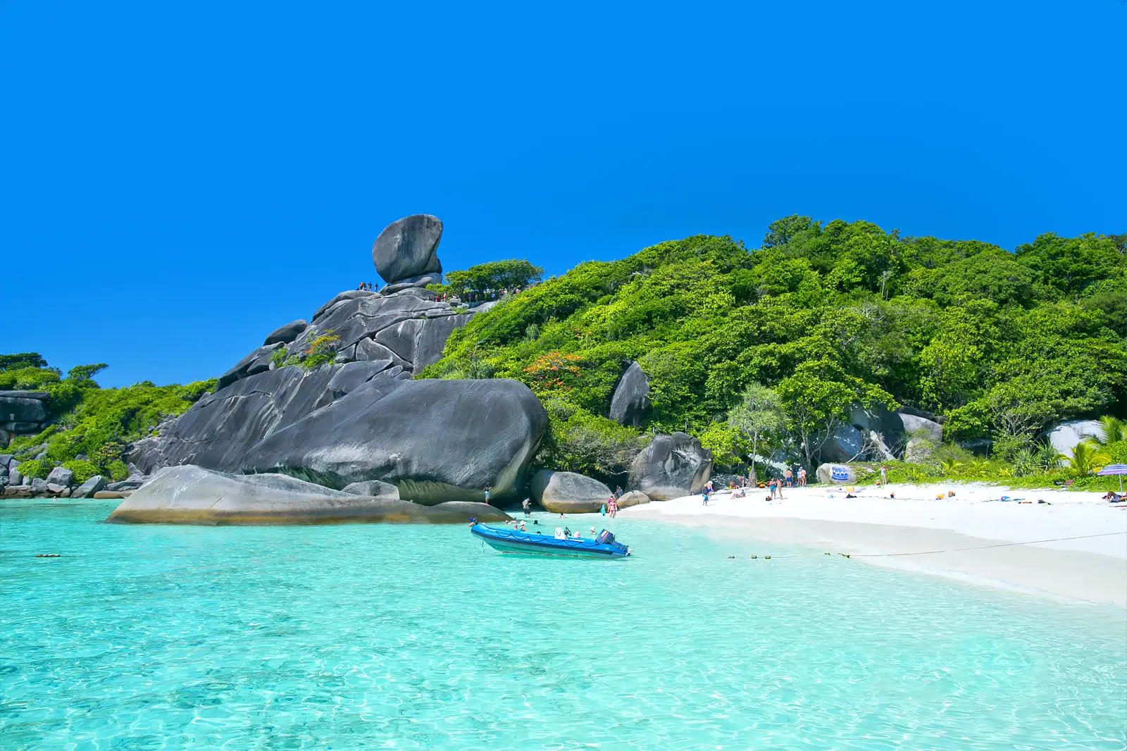 Beautiful crystal clear sea at tropical island, Similan island, Andaman sea, Thailand