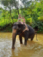 Elephant Bathing and Bamboo Rafting or River Canoeing