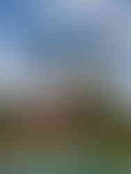 Lost Horizon Resort Khao Sok