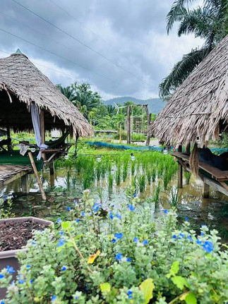 Chao Eco Farm Stay by Chef Nu