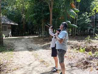 birdwatching tour from Khao Lak to Sri Phang Nga National Park