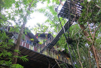 Elevated jungle treehouse retreat nestled within the tropical rainforest of Khao Sok