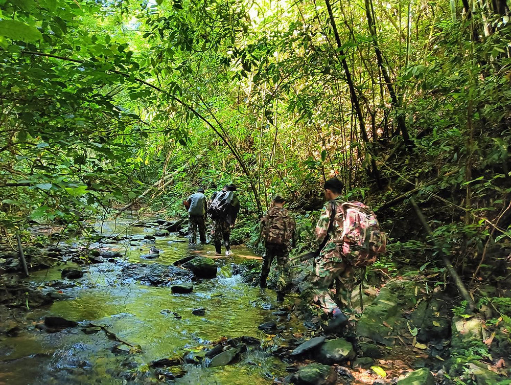 Qualitative reconnaissance and living in the forest while performing ...