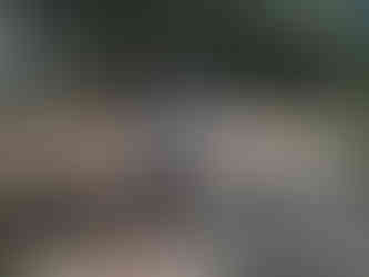 birdwatching tour from Khao Lak to Sri Phang Nga National Park