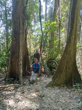 Tropical birds of Khao Sok National Park