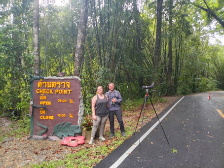 Khao Lak birdwatching tour