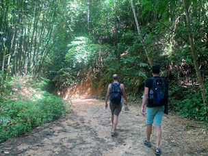 Khao Sok Jungle full day trip