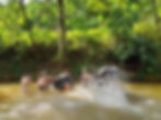 Elephant Bathing and Bamboo Rafting or River Canoeing