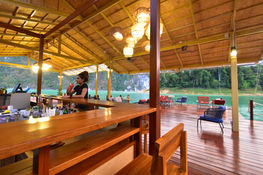 Wooden terrace with panoramic rainforest and lake scenery