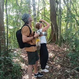 Birdwatching Tour from Khao Lak to Sri Phang Nga National Park