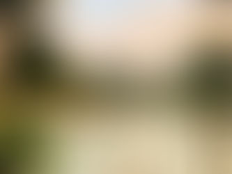 The Full Khao Sok Experience 3 Days 2 Night