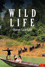 Wildlife safari boat tour at Cheow Lan Lake