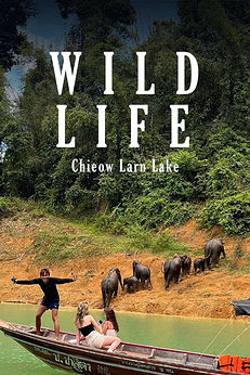 Wildlife safari boat tour at Cheow Lan Lake