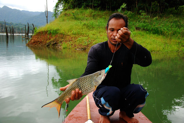 Fishing on Cheow Lan Lake