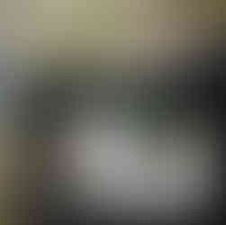 Birdwatching Tour at Sri Phang Nga National Park from Khao Lak