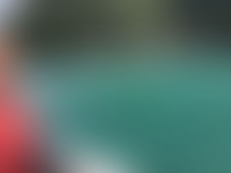 Krai Son Rafthouse 3 days 2 nights, an unforgettable experience with a herd of bulls and elephants.