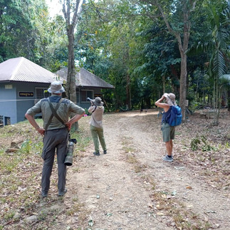 Birdwatching Tour at Sri Phang Nga National Park from Khao Lak