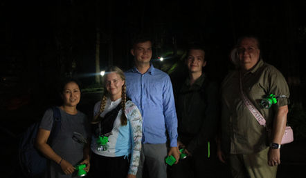 Private guided night wildlife experience in the rainforest of Khao Sok