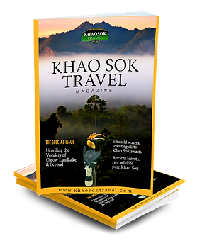 เชี่ยวชาญด้านการ ออกแบบเว็บไซต์, ถ่ายภาพ, ลงโฆษณาในนิตยสาร Khao Sok Travel, และ ผลิต eBook
