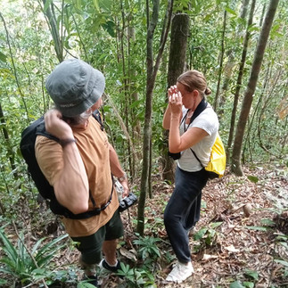 Birdwatching Tour from Khao Lak to Sri Phang Nga National Park