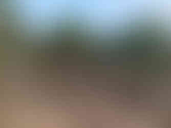 birdwatching tour from Khao Lak to Sri Phang Nga National Park