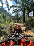 ATV riding along a plantation trail in Khao Sok