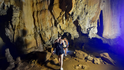 At Panvaree The Greenery Zone, every activity and experience is crafted with heart — to bring you closer to the beauty of nature and the warmth of genuine hospitality. Whether it’s a serene morning boat ride through the mist, a romantic floating dinner, or a peaceful kayak on emerald waters, each moment becomes part of a story you’ll remember forever.
