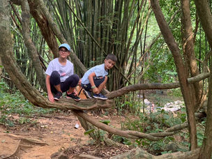 4 Days, 3 Nights: Immerse Yourself in the UltimateKhao Sok & Cheow Lan Lake Adventure