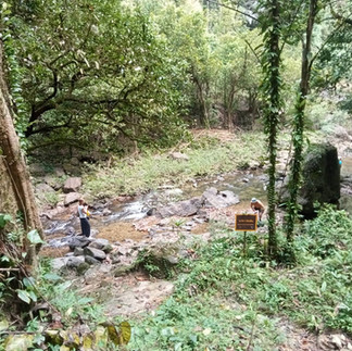 Birdwatching Tour from Khao Lak to Sri Phang Nga National Park