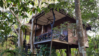 Luxury treehouse retreat hidden deep within the rainforest of southern Thailand