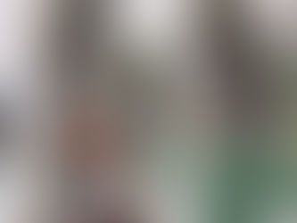 Leonie Sommer, our latest visitor to Khao Sok today.