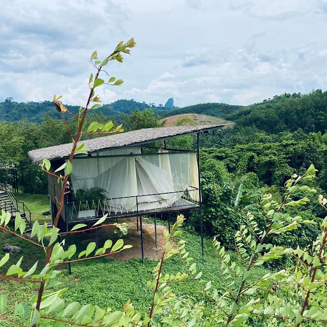 Tanoshi Glamping in Khao sok 