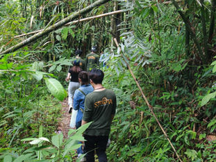 San Yang Roi nature trail It is a 2-kilometer loop nature trail that takes about 1 hour and 30 mins
