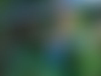 The most exciting adventure tour in Chiang Mai! Ride through jungle trails on an ATV, then continue with a thrilling zipline adventure across the forest canopy.