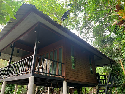 Khao Sok Package & Lake daytrip