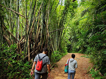 Lake & Forest Trails
These experiences begin on Cheow Lan Lake, combining a longtail boat journey with forest trails, viewpoints, caves or more remote natural areas.