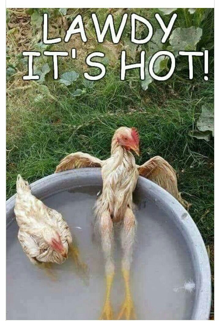 ree