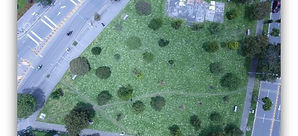 dron 1.jpg