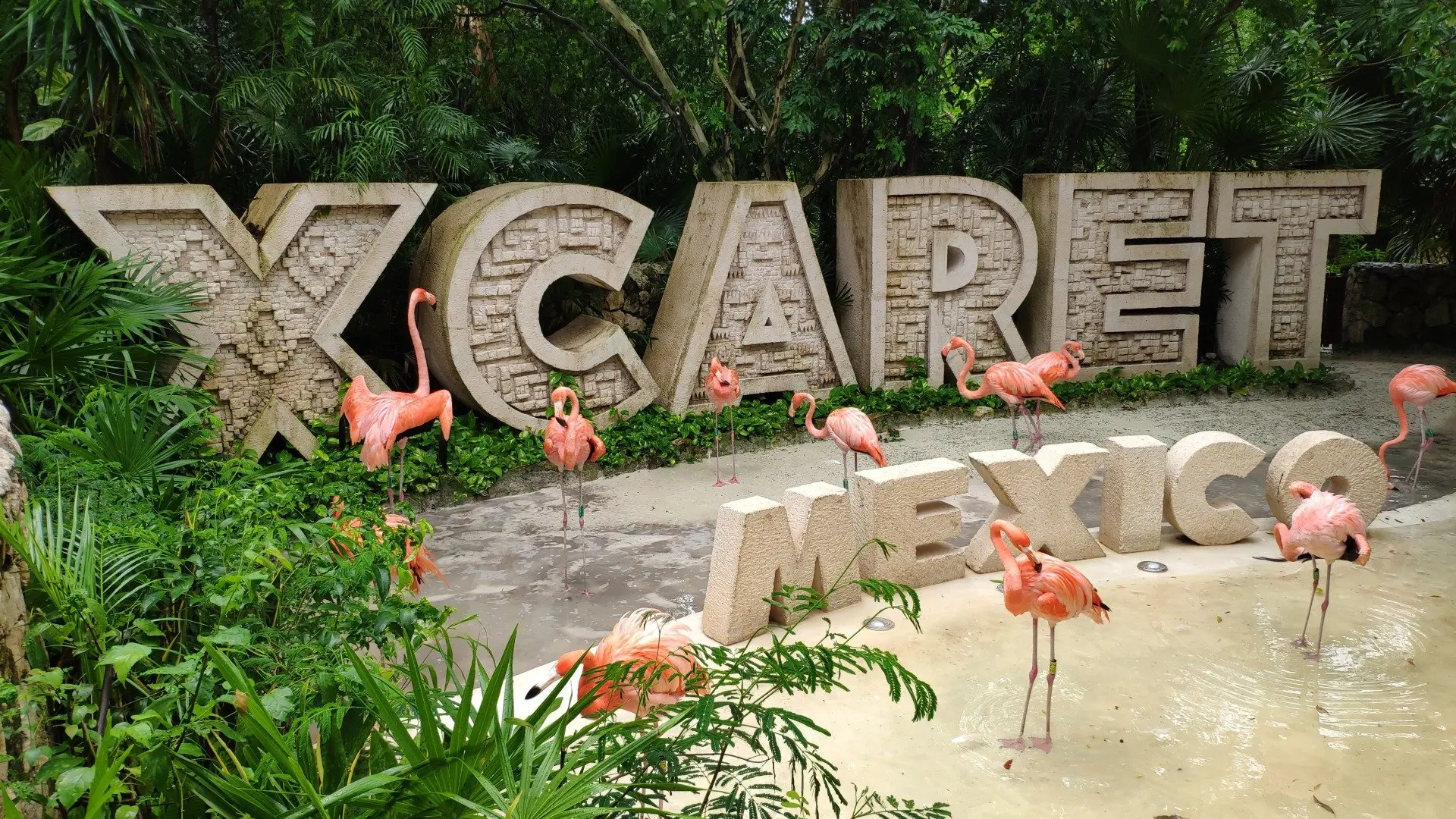 Bodas en el Caribe, destinos de boda en México, coordinación de bodas en el Caribe.