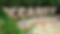 Xcaret Plus